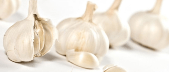 Knoblauch für Potenz
